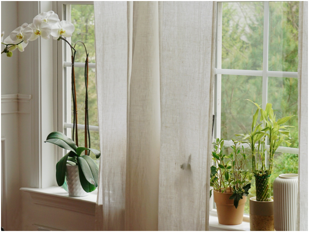 Fenster mit Rahmen, Vorhängen und Zimmerpflanzen auf einer Fensterbank