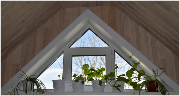Schrägfenster mit mehreren Zimmerpflanzen auf einer Fensterbank
